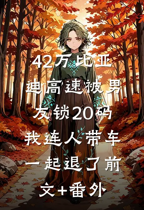 42万比亚迪高速被男友锁20码，我连人带车一起退了前文+番外