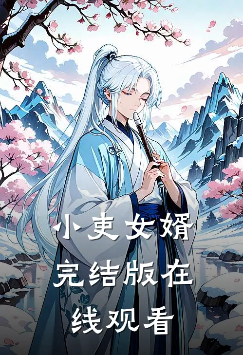 小吏女婿完结版在线观看