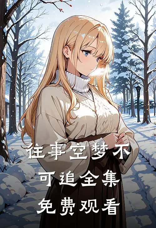 往事空梦不可追全集免费观看