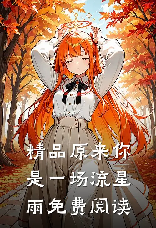 精品原来你是一场流星雨免费阅读