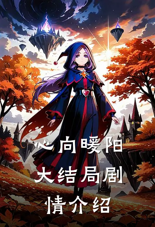 心向暖阳大结局剧情介绍