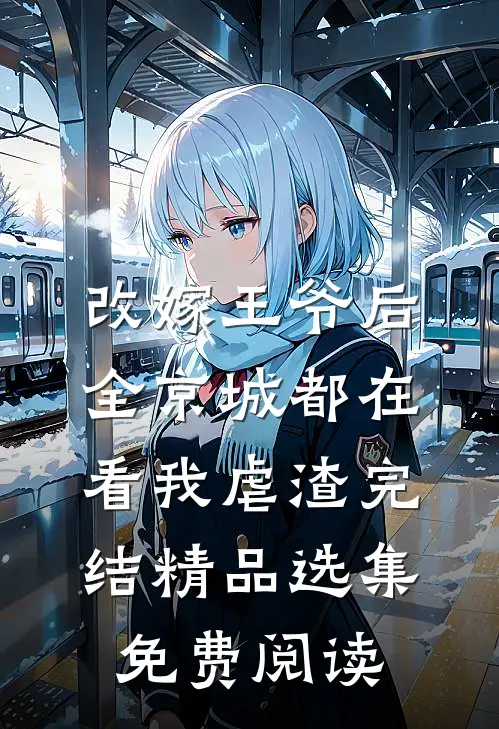 改嫁王爷后,全京城都在看我虐渣完结精品选集免费阅读