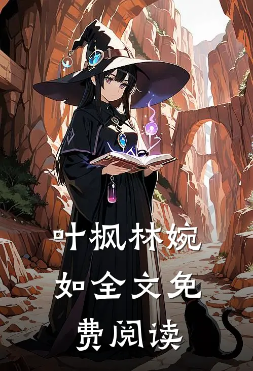 叶枫林婉如全文免费阅读