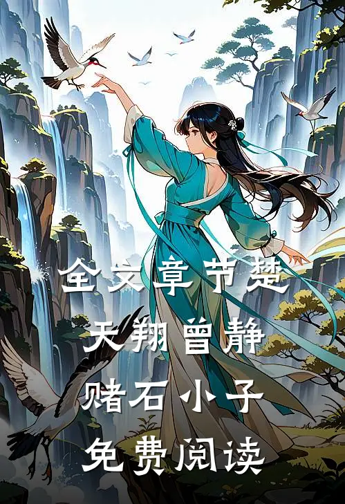 全文章节楚天翔曾静赌石小子免费阅读
