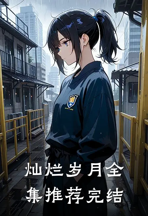灿烂岁月全集推荐完结