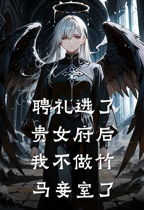 聘礼进了贵女府后，我不做竹马妾室了