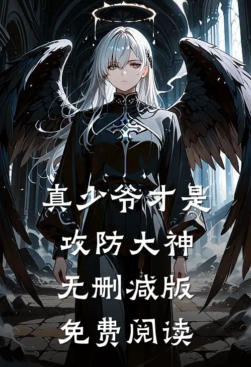 真少爷才是攻防大神无删减版免费阅读