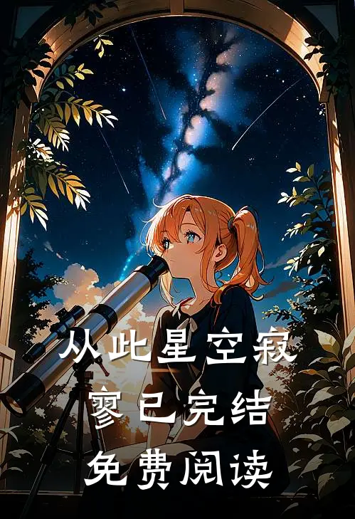从此星空寂寥已完结免费阅读