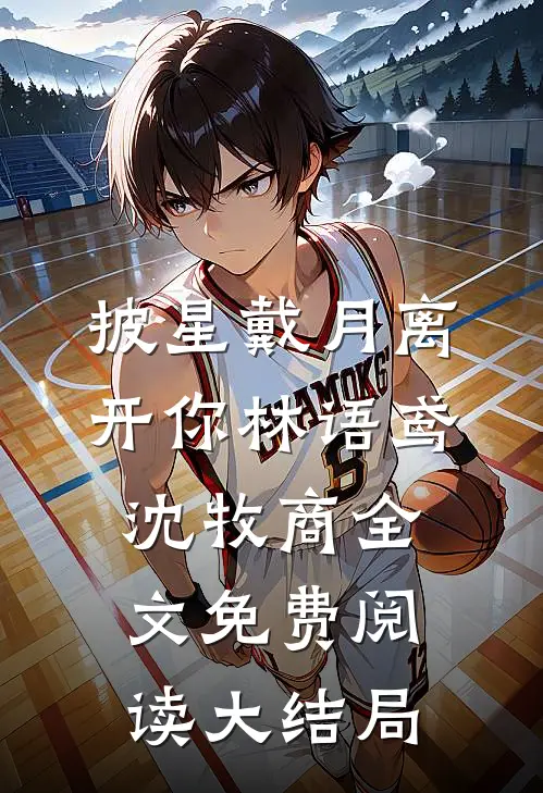 披星戴月离开你林语鸢沈牧商全文免费阅读大结局