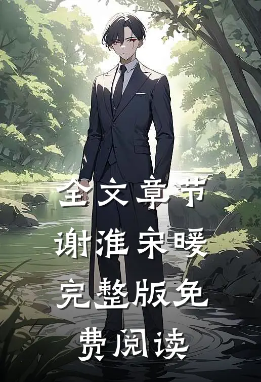 全文章节谢淮宋暖完整版免费阅读