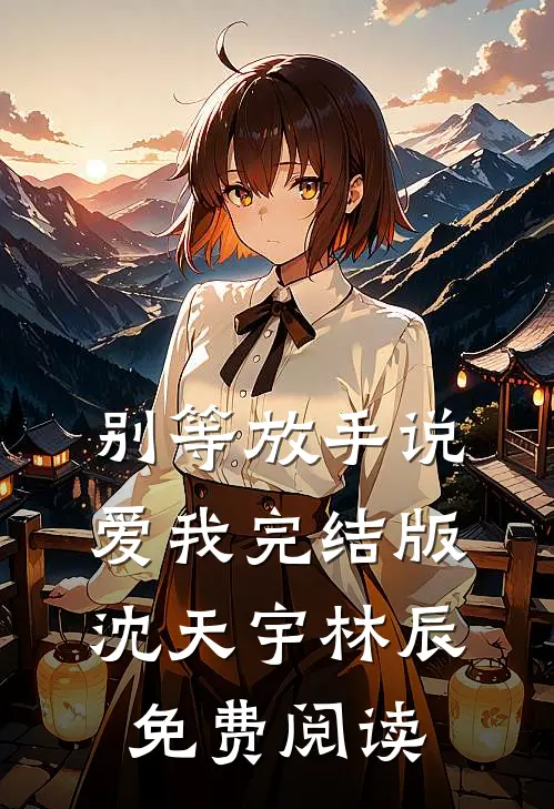 别等放手说爱我完结版沈天宇林辰免费阅读