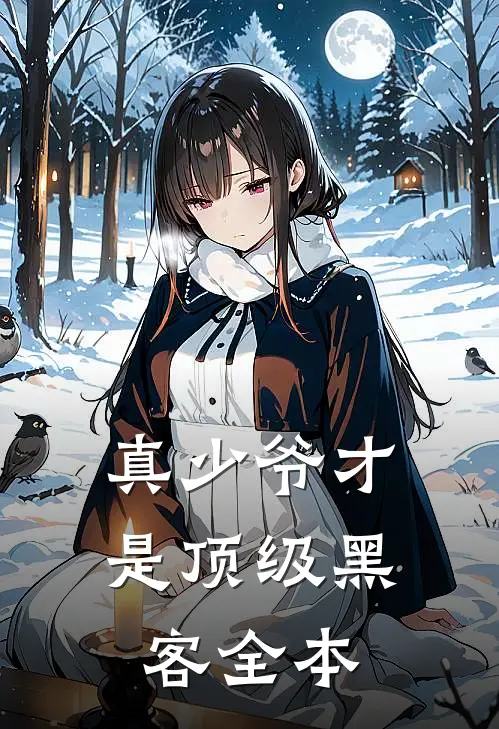 真少爷才是顶级黑客全本