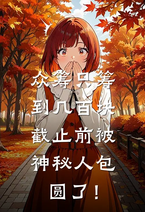 众筹只筹到几百块，截止前被神秘人包圆了！