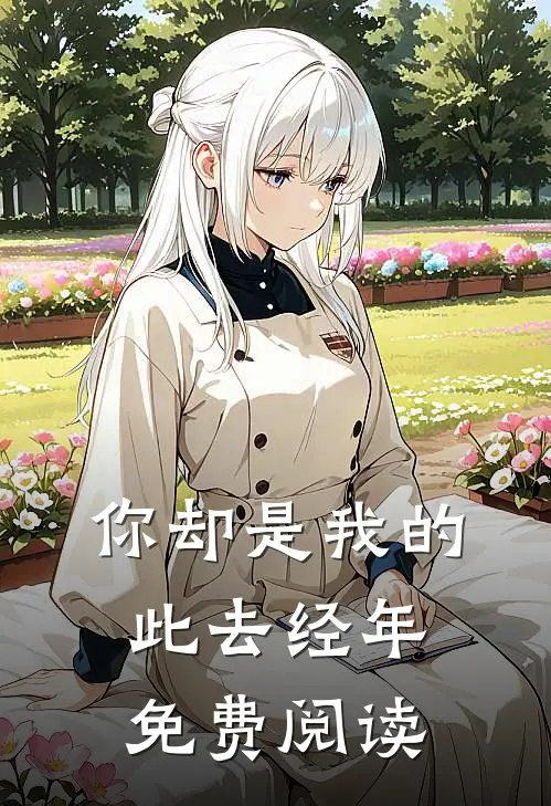 你却是我的此去经年免费阅读
