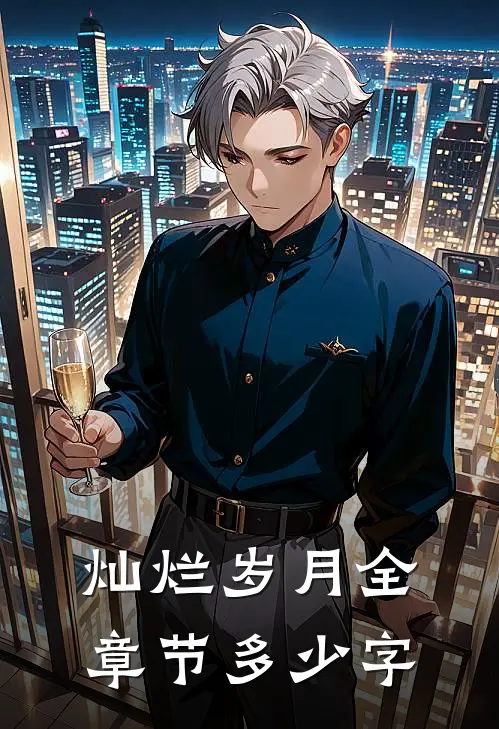 灿烂岁月全章节多少字