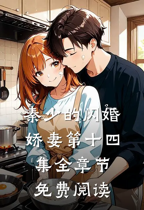 秦少的闪婚娇妻第十四集全章节免费阅读