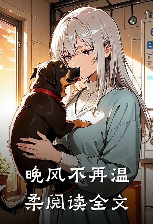 晚风不再温柔阅读全文