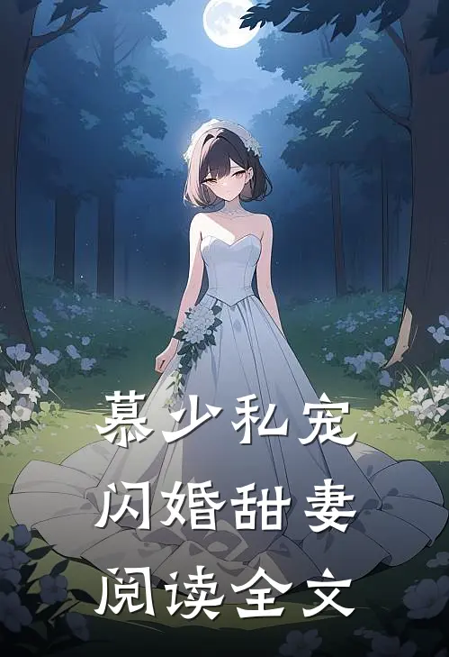 慕少私宠闪婚甜妻阅读全文