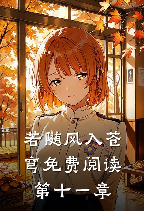 若随风入苍穹免费阅读第十一章