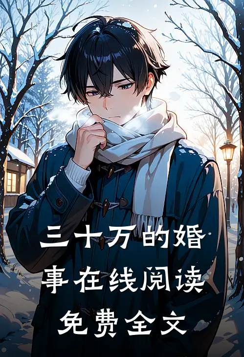 三十万的婚事在线阅读免费全文