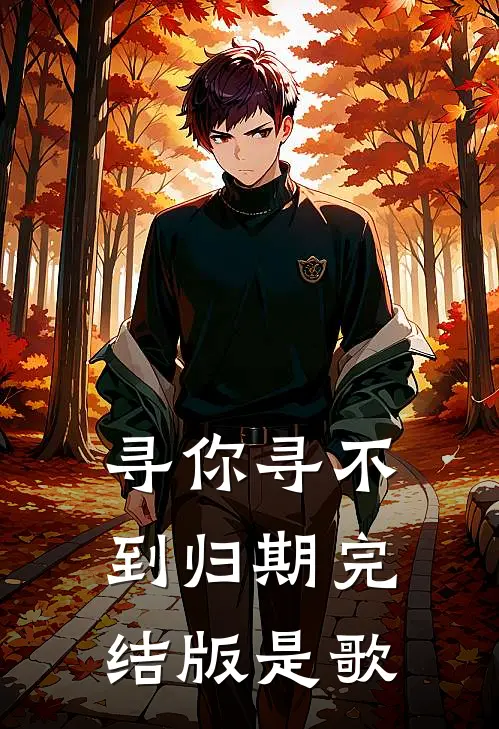 寻你寻不到归期完结版是歌