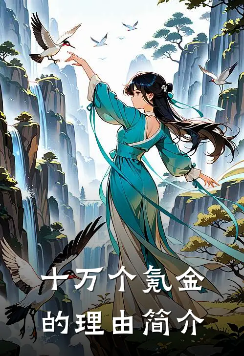 十万个氪金的理由简介