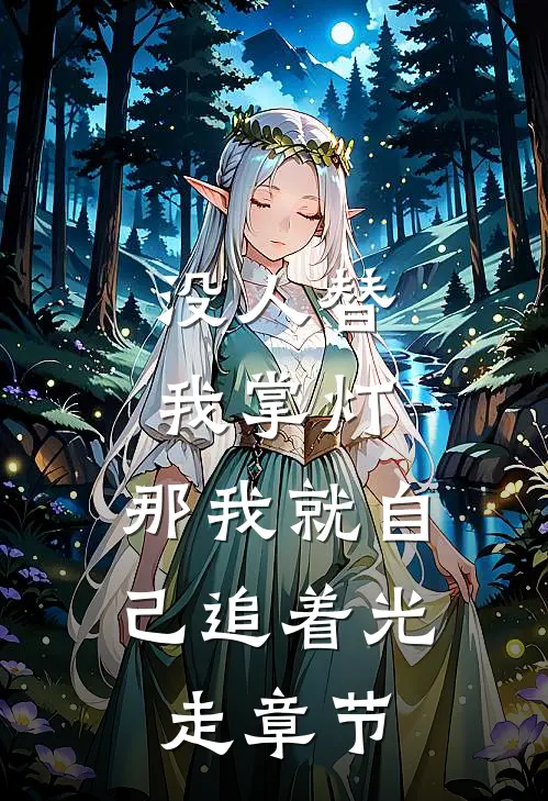 没人替我掌灯，那我就自己追着光走章节
