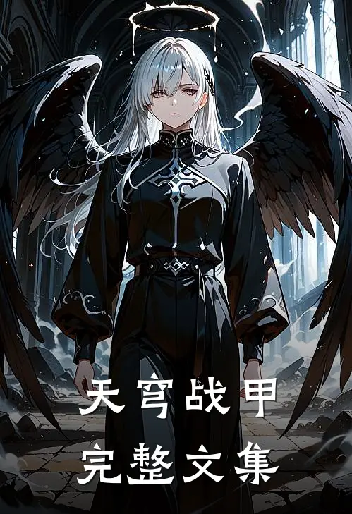 天穹战甲完整文集