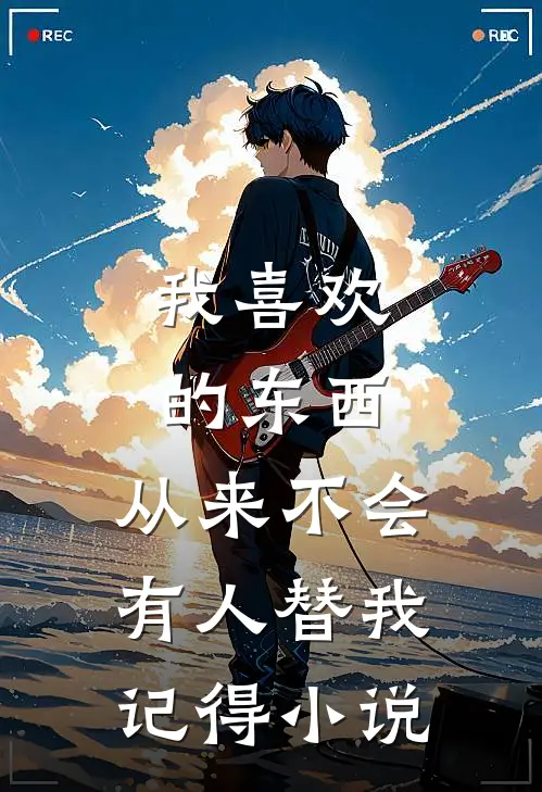 我喜欢的东西，从来不会有人替我记得小说