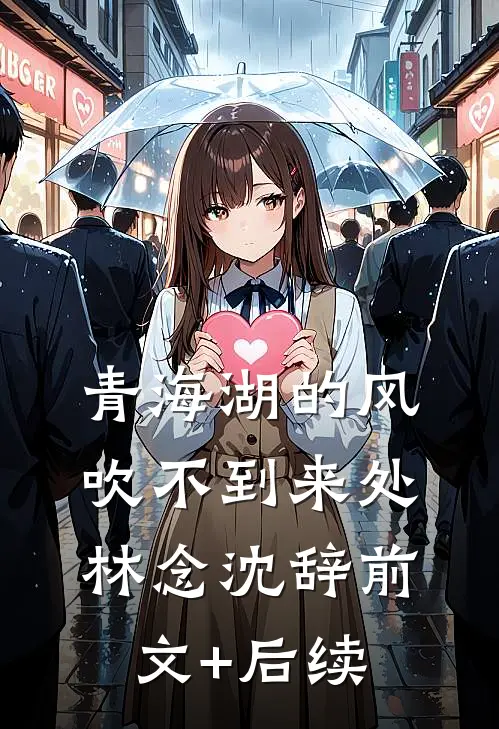 青海湖的风，吹不到来处林念沈辞前文+后续