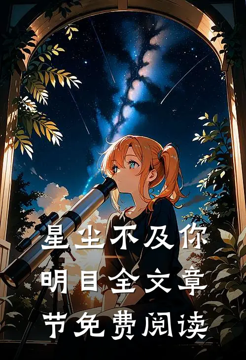 星尘不及你明目全文章节免费阅读