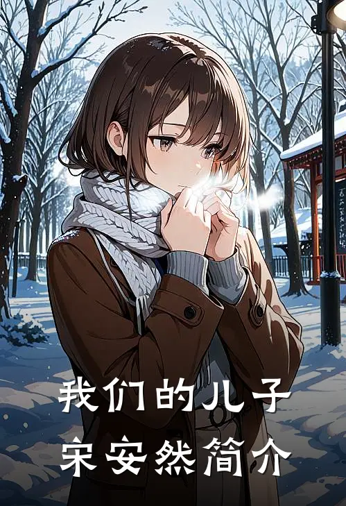 我们的儿子宋安然简介