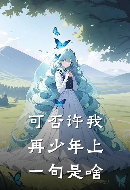 可否许我再少年上一句是啥