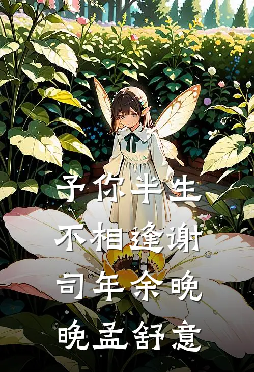 予你半生不相逢谢司年余晚晚孟舒意