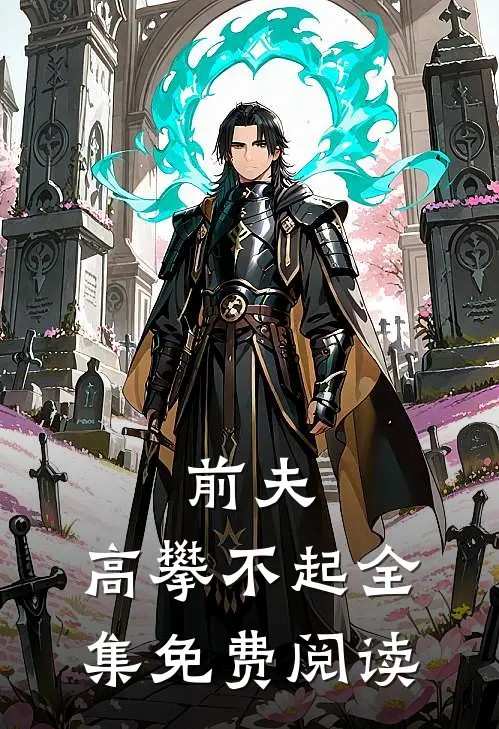 前夫,高攀不起 全集免费阅读