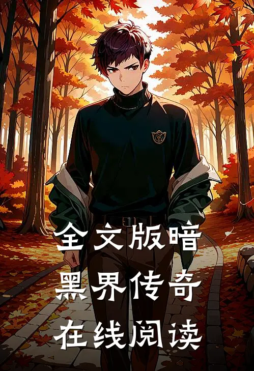 全文版暗黑界传奇在线阅读