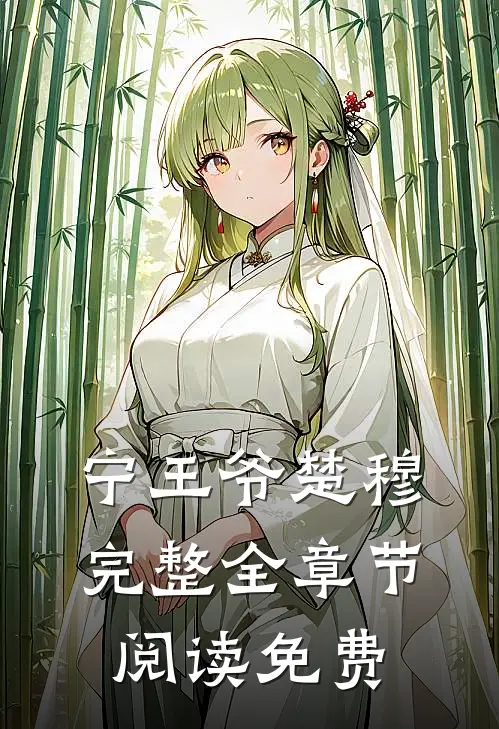 宁王爷楚穆完整全章节阅读免费