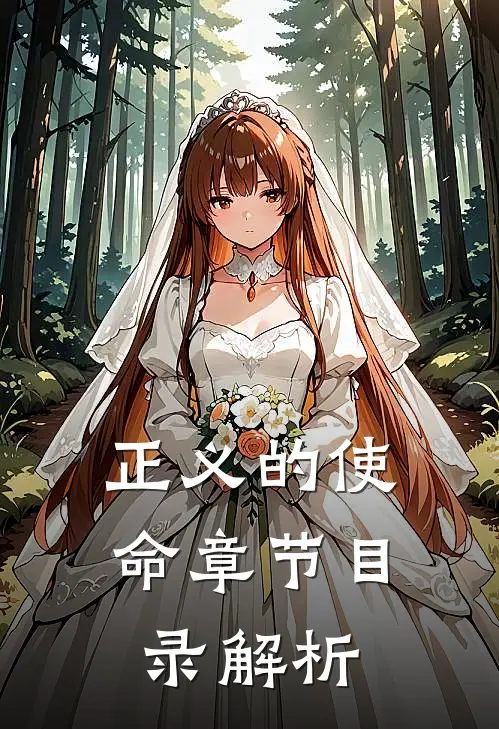 正义的使命章节目录解析