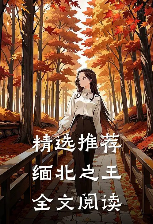 精选推荐缅北之王全文阅读