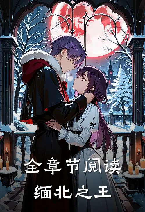全章节阅读缅北之王