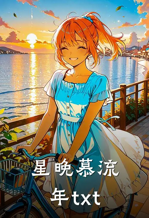 星晚慕流年txt