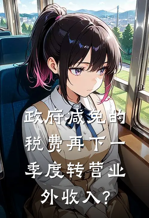 政府减免的税费再下一季度转营业外收入?