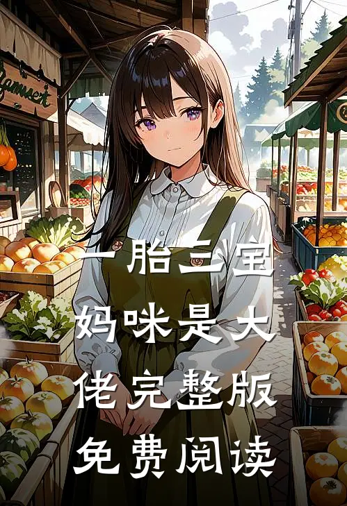 一胎三宝妈咪是大佬完整版免费阅读