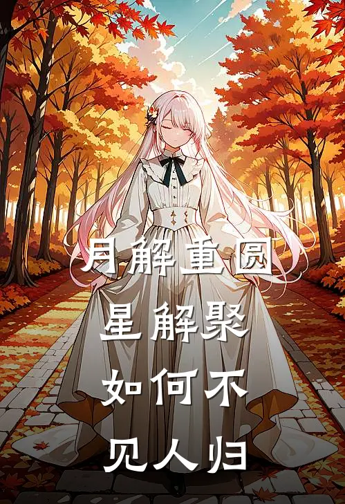 月解重圆星解聚,如何不见人归