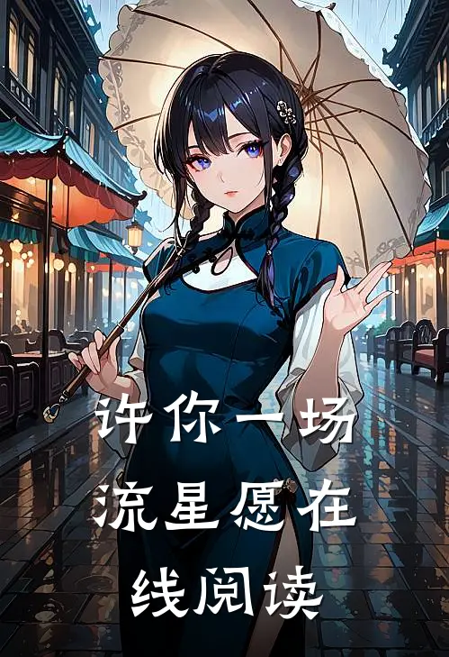许你一场流星愿在线阅读