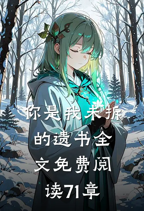 你是我未拆的遗书全文免费阅读71章