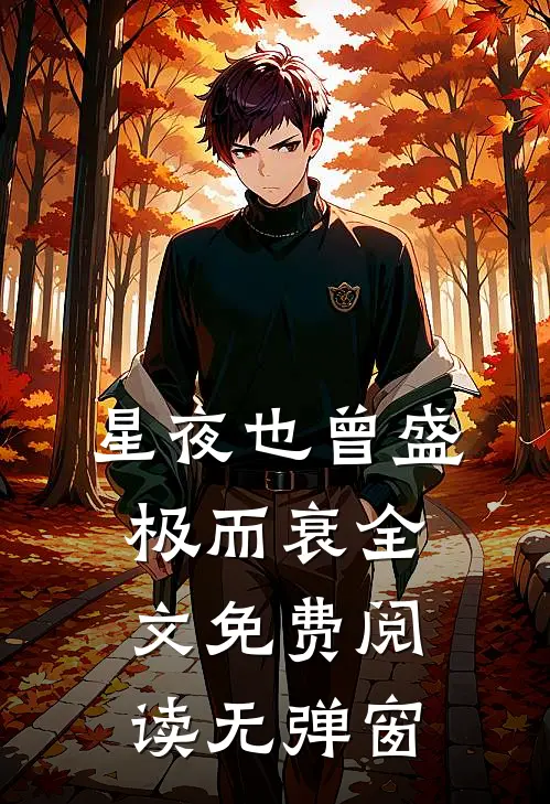 星夜也曾盛极而衰全文免费阅读无弹窗