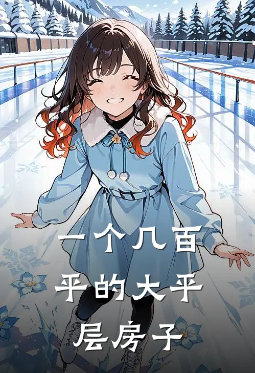 一个几百平的大平层房子