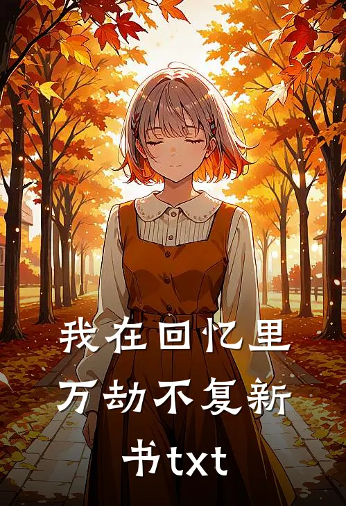 我在回忆里万劫不复新书txt