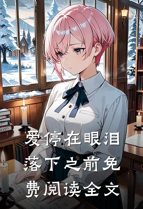 爱停在眼泪落下之前免费阅读全文